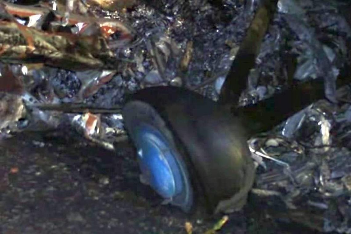 Piloci z Zamościa zginęli w katastrofie na Ukrainie? W samolocie były przemycane papierosy