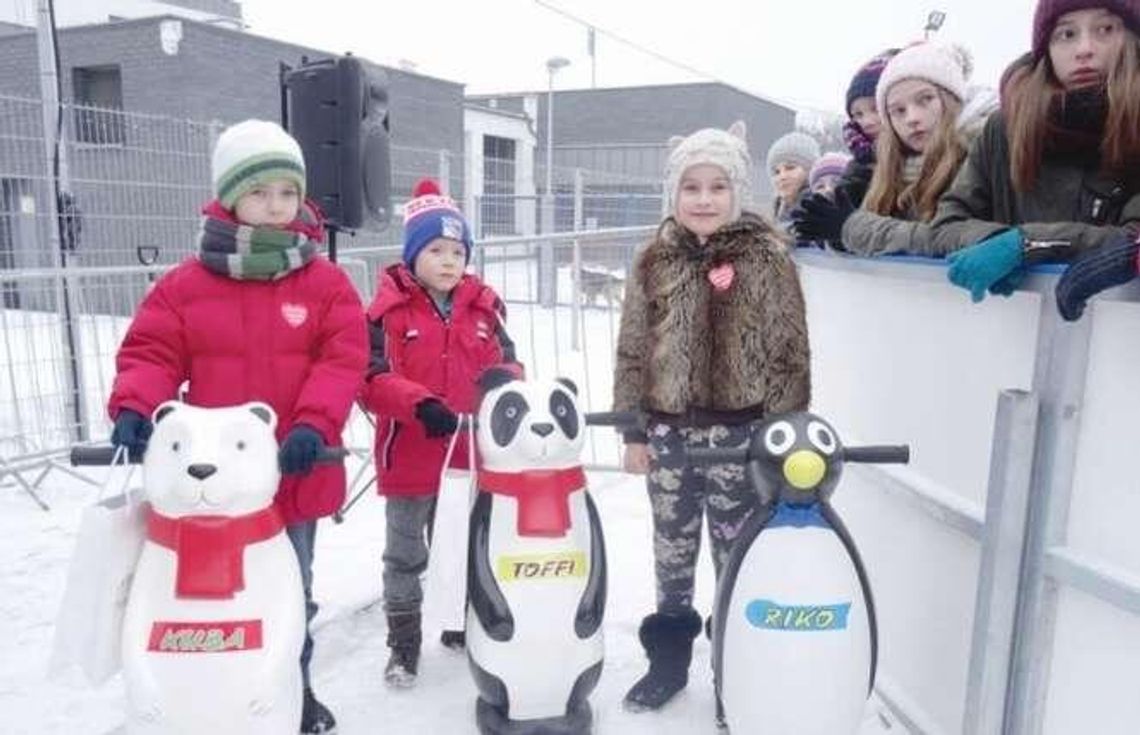 Pingwin i dwa misie z lodowiska mają imiona 