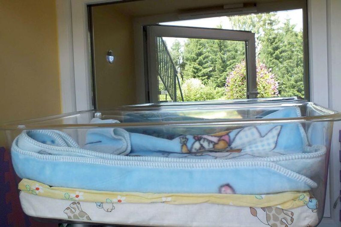 Piotruś w oknie życia