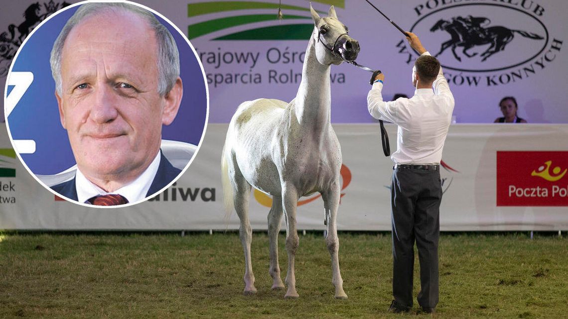 PiS nie zapomniał o byłym senatorze. Najpierw rada nadzorcza, potem stanowisko prezesa