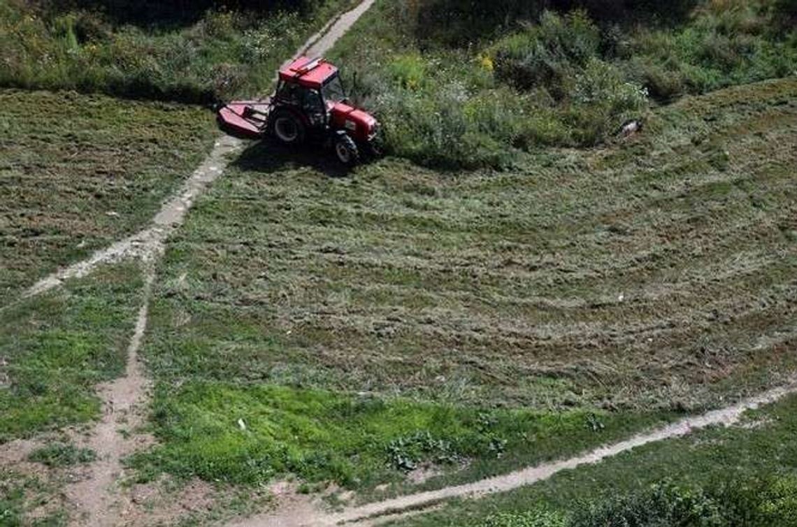 Pisklęta unikną rzezi? Chcą opóźnienia w koszeniu trawy