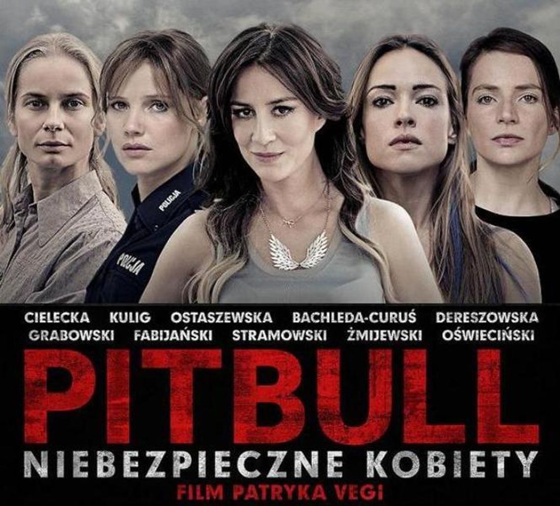 „Pitbull. Niebezpieczne kobiety”. Recenzja filmu