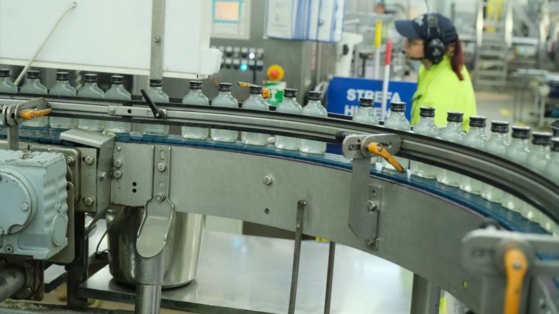 Piwo i wódkę kupimy przez internet? Taki postulat mają producenci