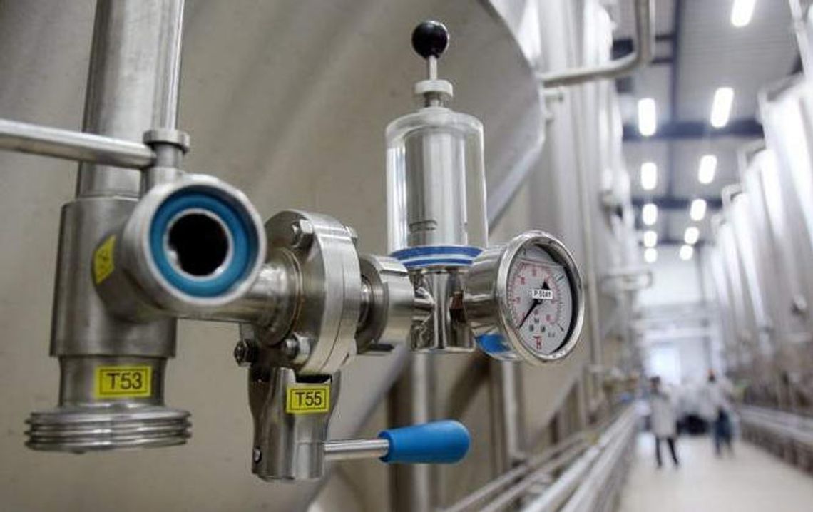 Piwo ze Zwierzyńca wraca na półki (wideo)