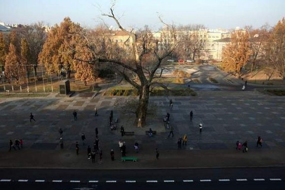Plac Litewski w Lublinie: elegancko, tanio i szybko Plac Litewski w Lublinie: elegancko, tanio i szybko
