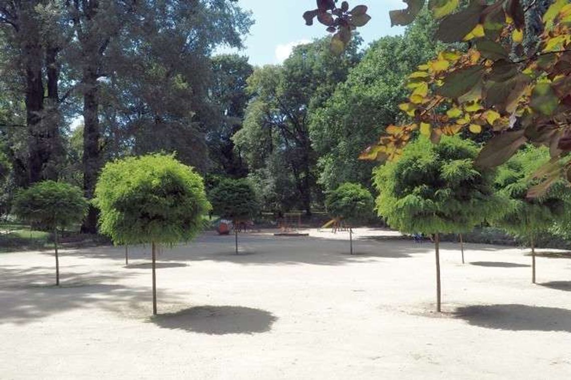 Plac zabaw w Ogrodzie Saskmi ma być lepszy. Pojawią się nowe urządzenia Plac zabaw w Ogrodzie Saskmi ma być lepszy. Pojawią się nowe urządzenia