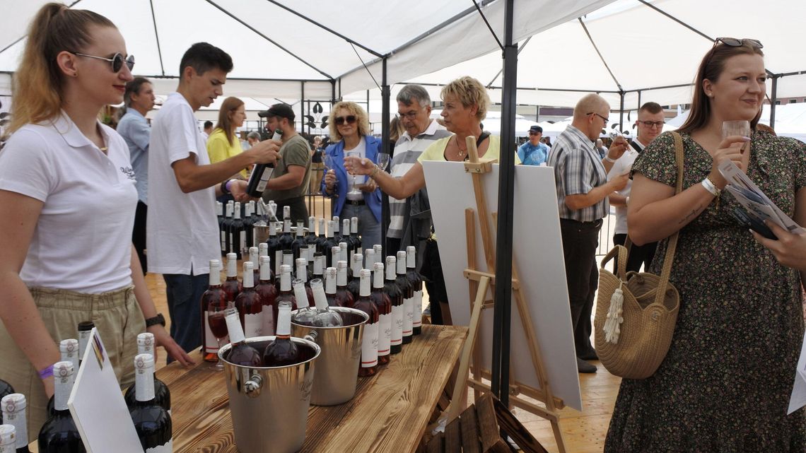 Płacisz 10 zł i pijesz ile dusza zapragnie. Festiwal win polskich w Zamościu trwa [zdjęcia]