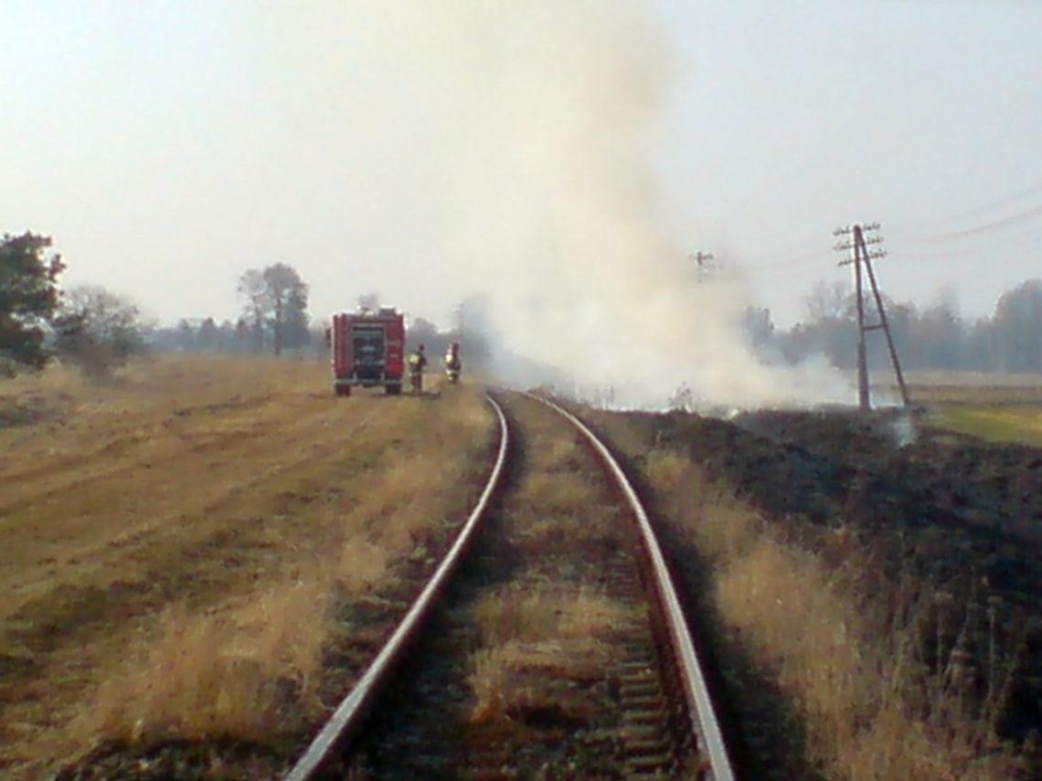 Planta: Dwa pożary traw w okolicach torowiska