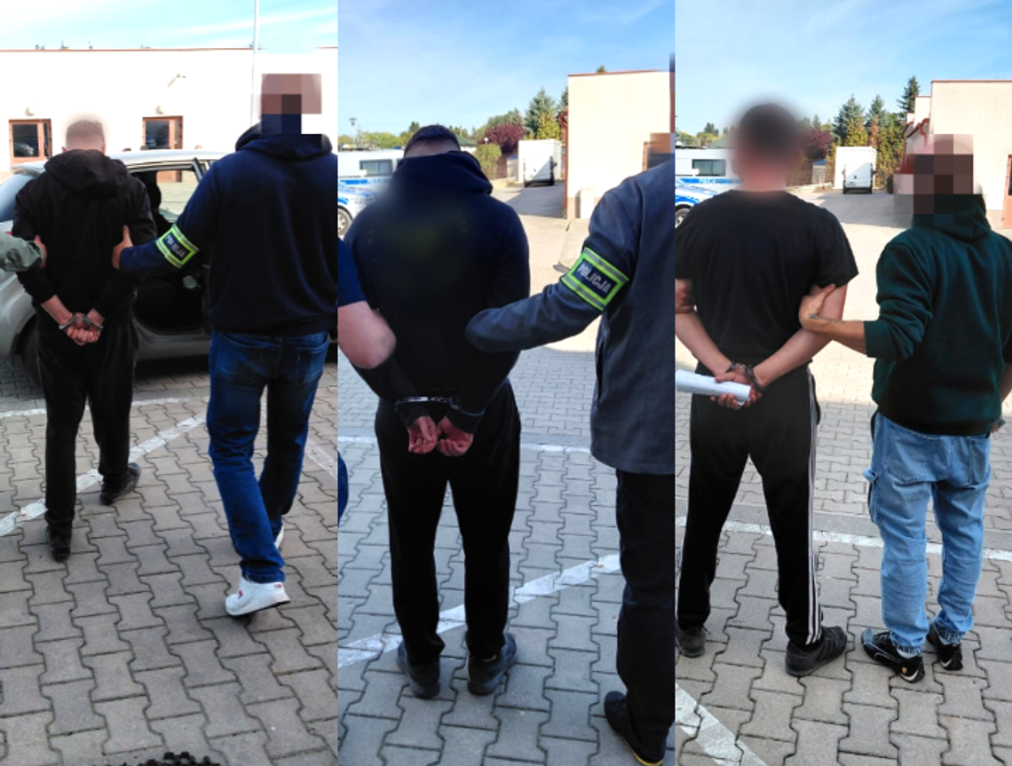Plantacja konopi w lesie pod Łęczną. Trzech mężczyzn trafiło do aresztu Plantacja konopi w lesie pod Łęczną. Trzech mężczyzn trafiło do aresztu