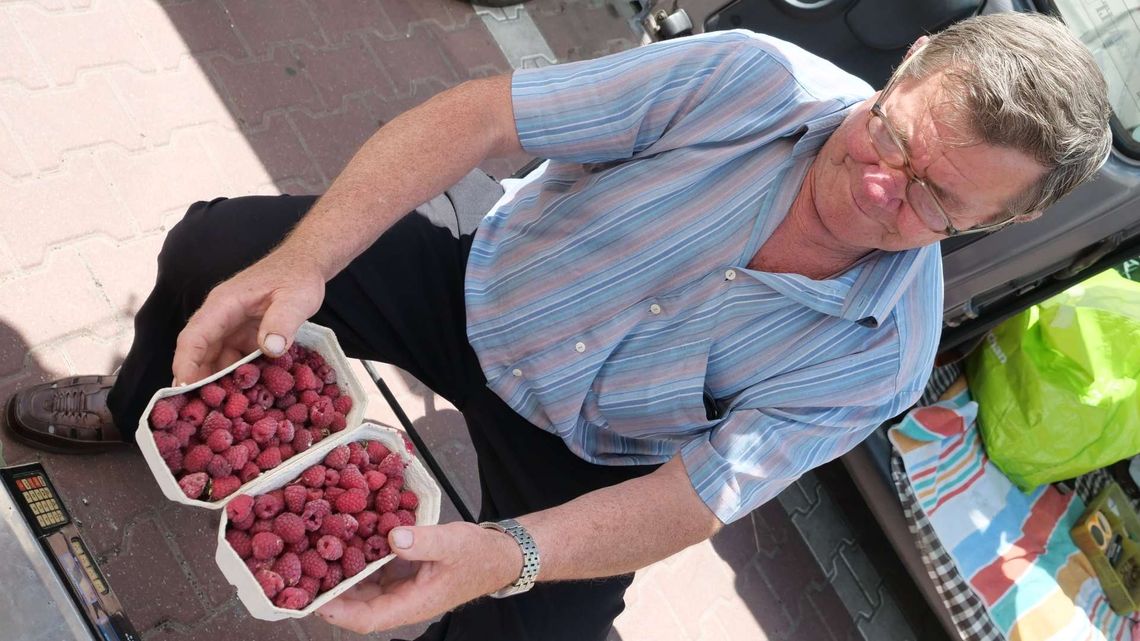 Plantatorzy z woj. lubelskiego mówią dość! Przez kilka najbliższych dni mają nie zrywać malin