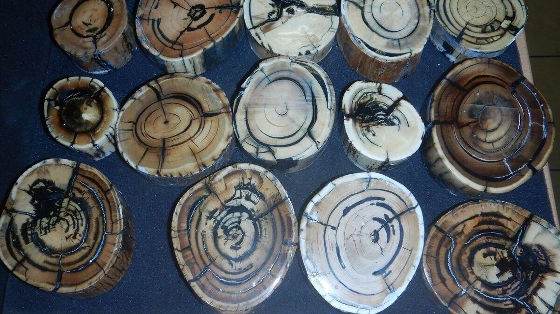 Plastry z ciosów mamuta. W bagażniku Białorusina kolekcja jak z muzeum Plastry z ciosów mamuta. W bagażniku Białorusina kolekcja jak z muzeum