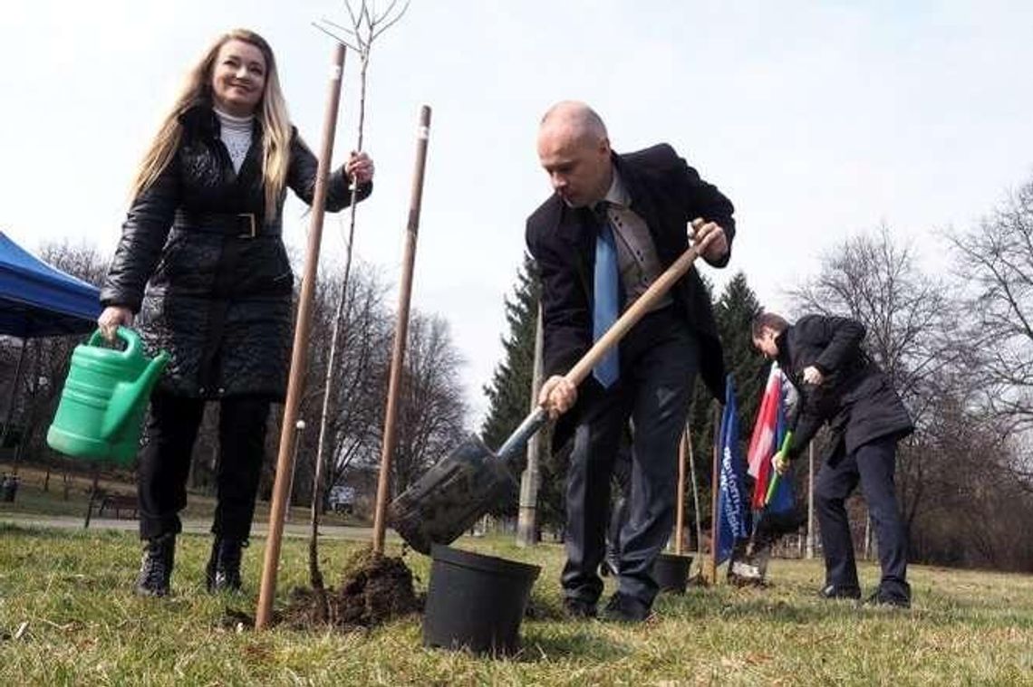 Platforma i KOD-owcy posadzili drzewa w Lublinie. Na złość PiS