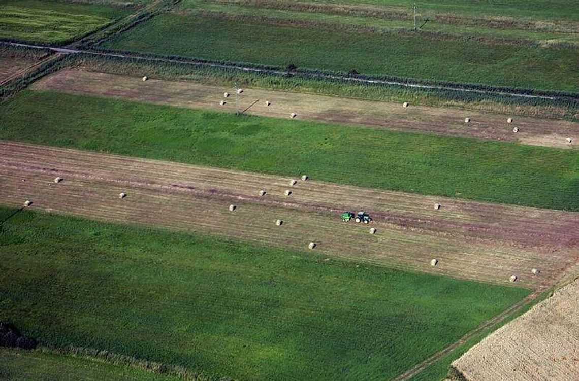 Płatności bezpośrednie dla rolników po nowemu