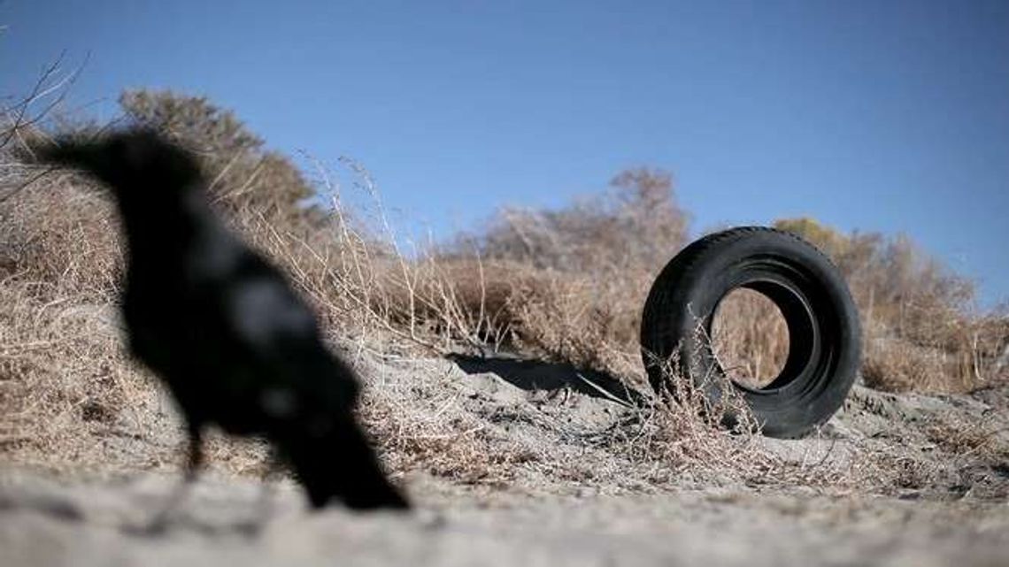 Plenerowe Kino Perła. Repertuar 20-24 lipca