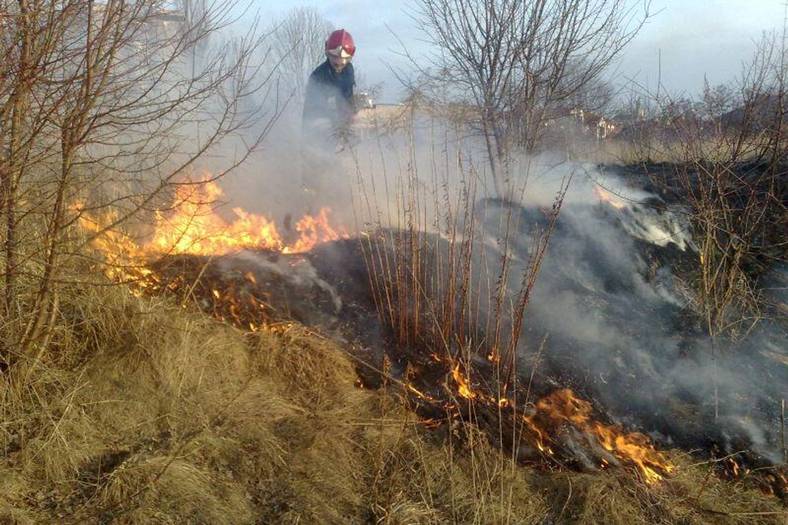 Płoną suche trawy: Dzisiaj już 16 pożarów