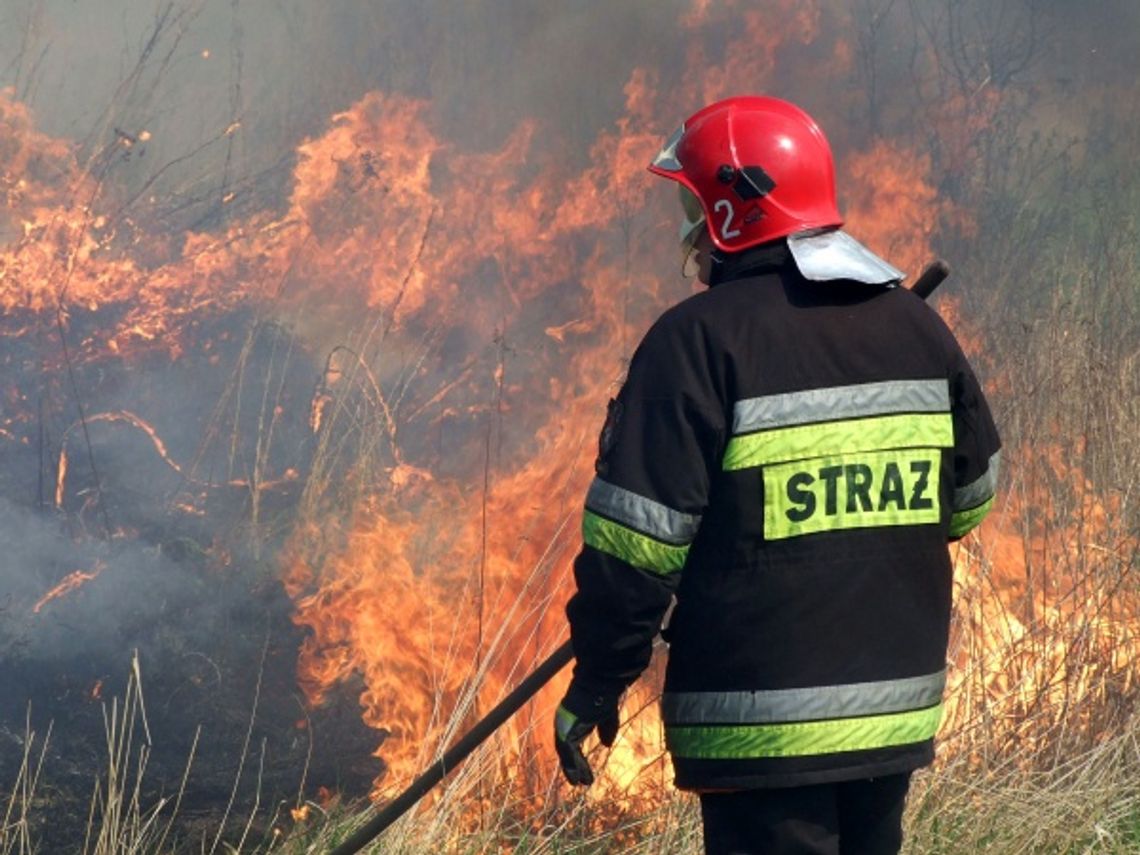 Płoną trawy na Górkach Czechowskich Płoną trawy na Górkach Czechowskich