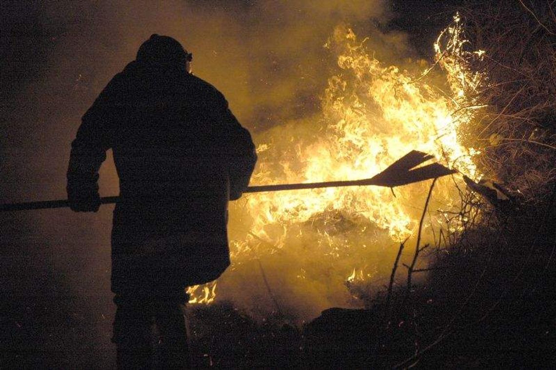 Płoną trawy na potęgę. Co grozi za wypalanie? Płoną trawy na potęgę. Co grozi za wypalanie?