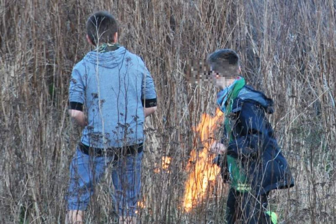 Płoną trawy. Nie ma siły na głupotę (wideo)