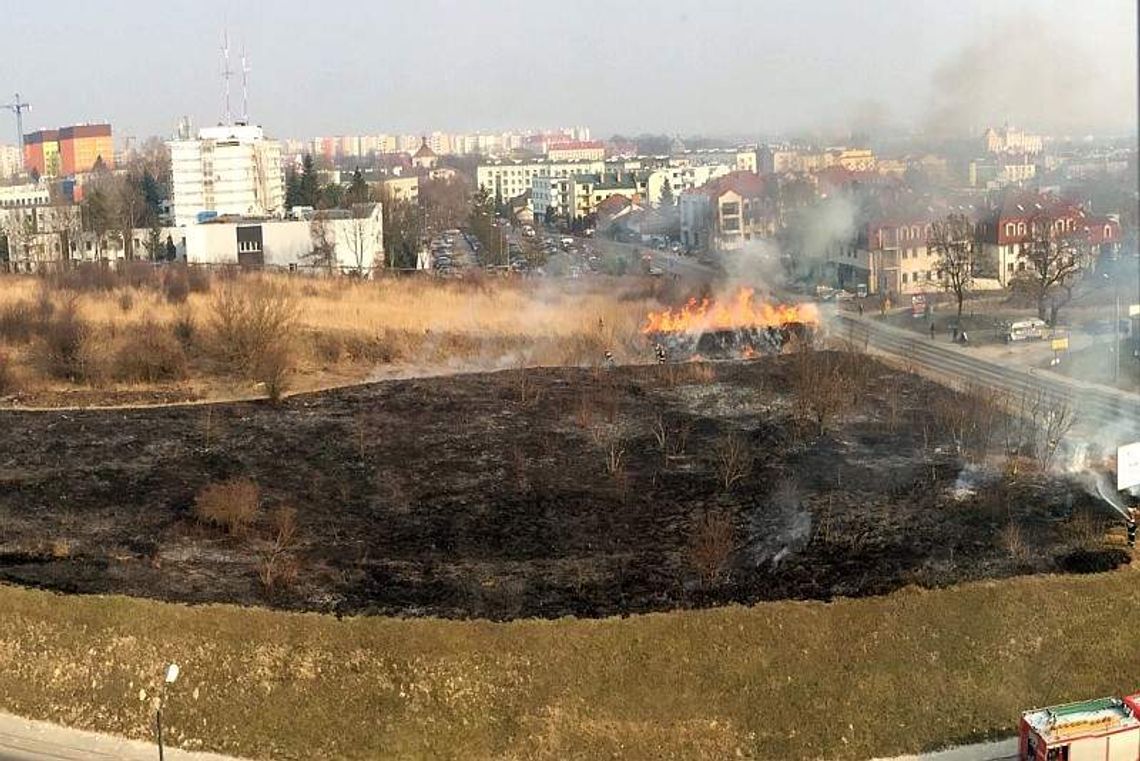 Płoną trawy w Lublinie i okolicach. Dziś już 9 pożarów Płoną trawy w Lublinie i okolicach. Dziś już 9 pożarów