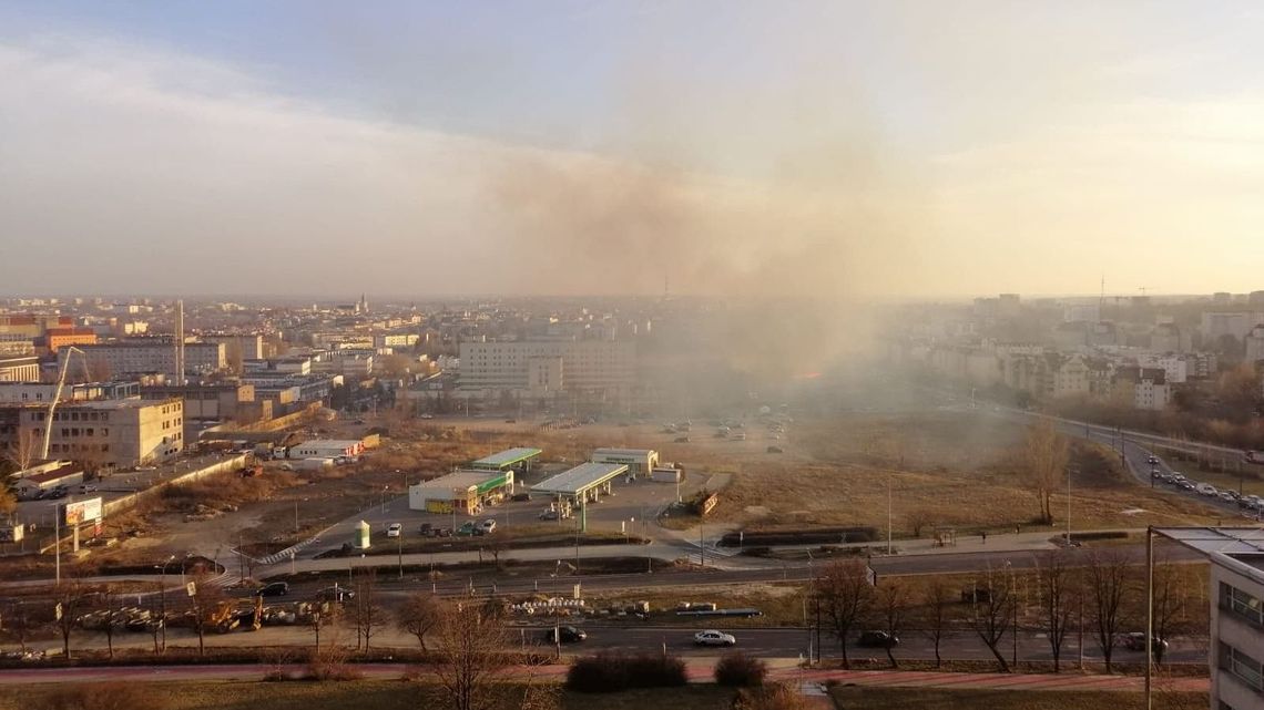 Płoną trawy w okolicach szpitala przy ul. Chodźki