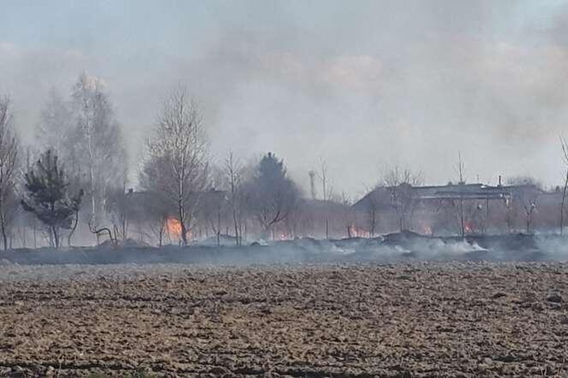 Płoną trawy w regionie. Strażacy mają pełne ręce roboty Płoną trawy w regionie. Strażacy mają pełne ręce roboty