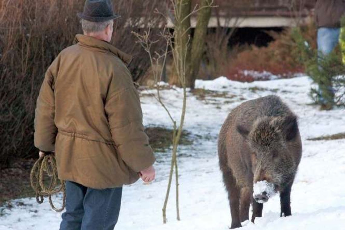 Płot powstanie wzdłuż granicy Polski z Białorusią i Ukrainą