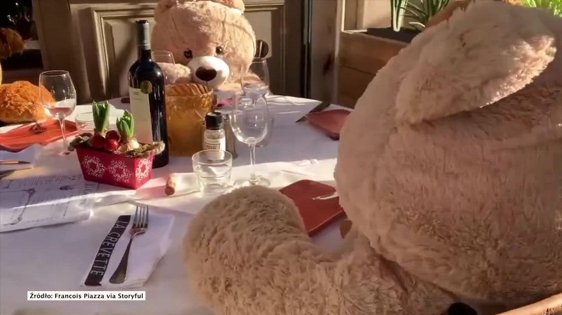 Pluszowe misie zapełniły restaurację we Francji