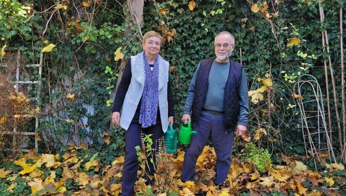 Pnącza: najlepszy element ogrodu