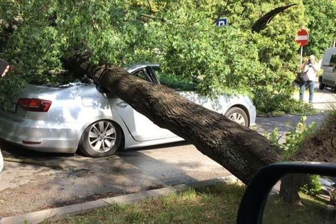Po burzy w Lublinie i regionie: 52 uszkodzone budynki, 670 interwencji strażaków