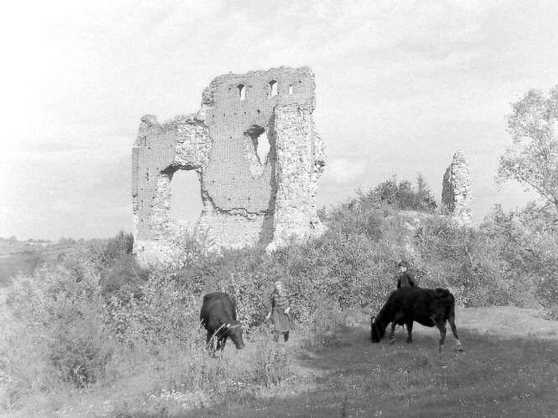 Po dziesięciu dniach umarł z głodu. Historia zamku w Bochotnicy
