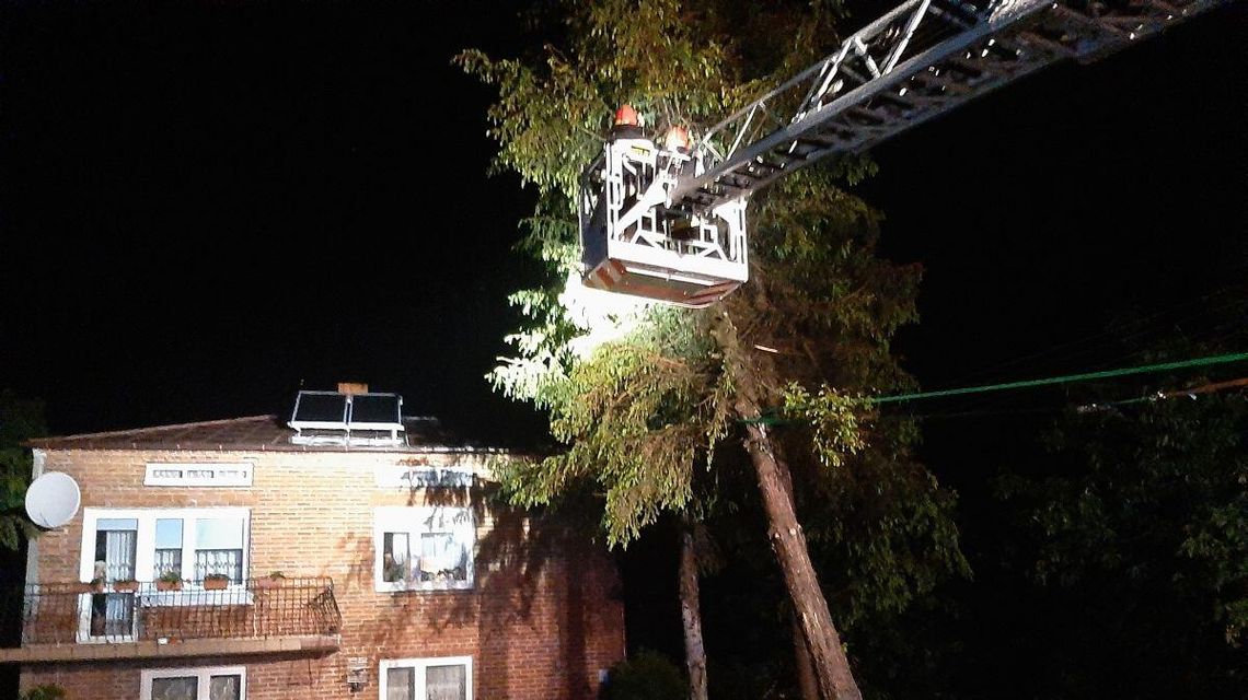 Po nawałnicy w Zamościu i okolicach. Uszkodzony dach szpitala, gałęzie spadały na samochody