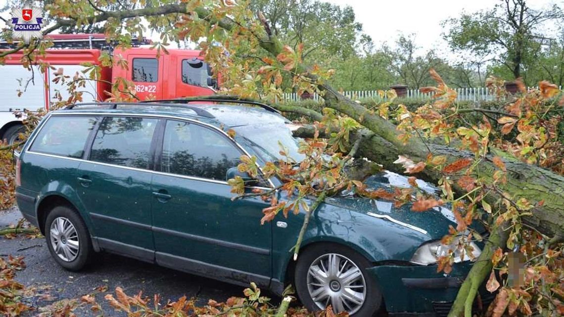Po wichurach w Lubelskiem. Drzewo przygniotło samochód, w środku jechało czterech mężczyzn
