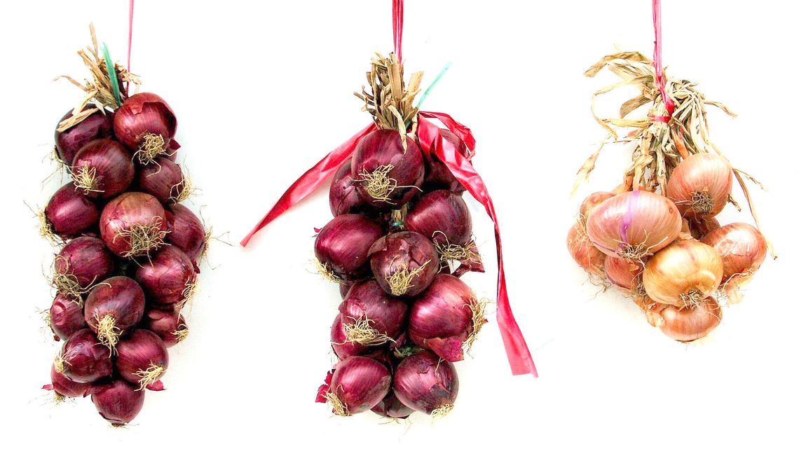 Pociąg do cebulowej. Warto się wzmacniać odpowiednią dietą