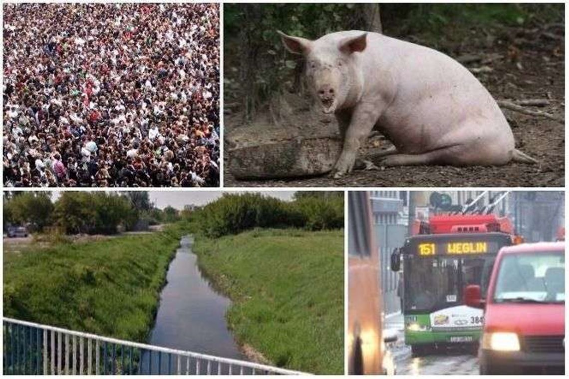 Pociągi, rzeki i... świnie, czyli dziwne liczby o Lublinie [QUIZ]