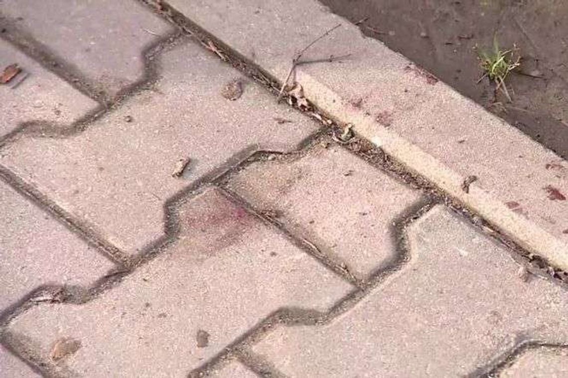 Pocięli 18-latka maczetą. Zmarł. Policja szuka sprawców