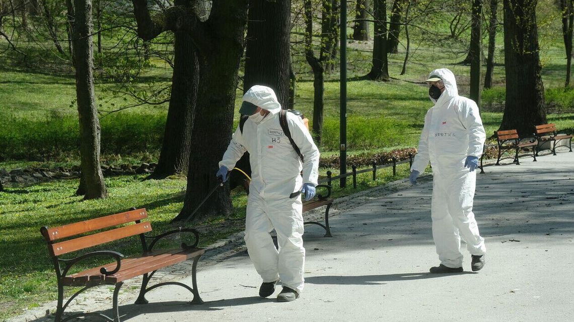 Początki koronawirusa w Polsce. Tak wspominają go osoby z różnych profesji