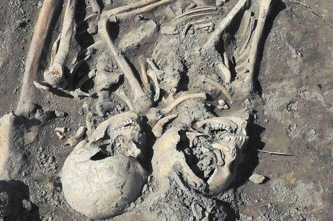 Pod chodnikami i jezdniami leżą tysiące osób. Opowieść o mieście zmarłych przodków