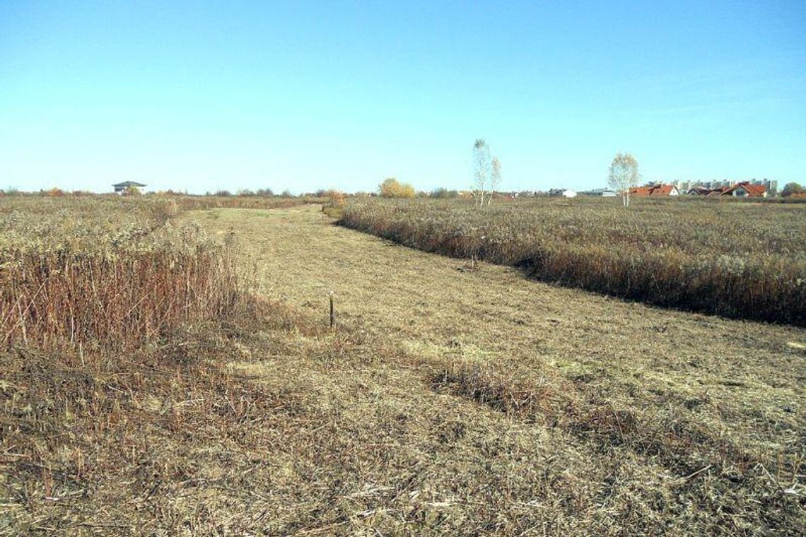 Pod domek z ogródkiem. Miasto sprzedaje kolejne działki w Lublinie