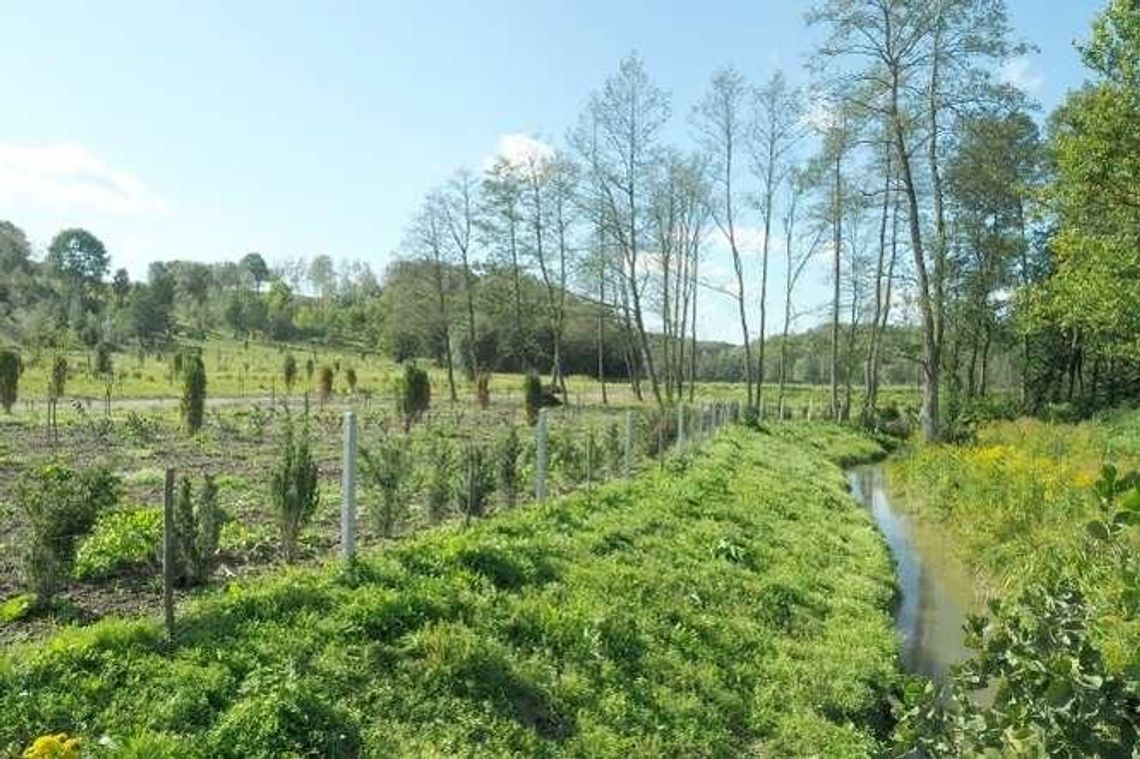 Pod Kazimierzem Dolnym ma powstać park rozrywki. Co będzie na 57 hektarach?