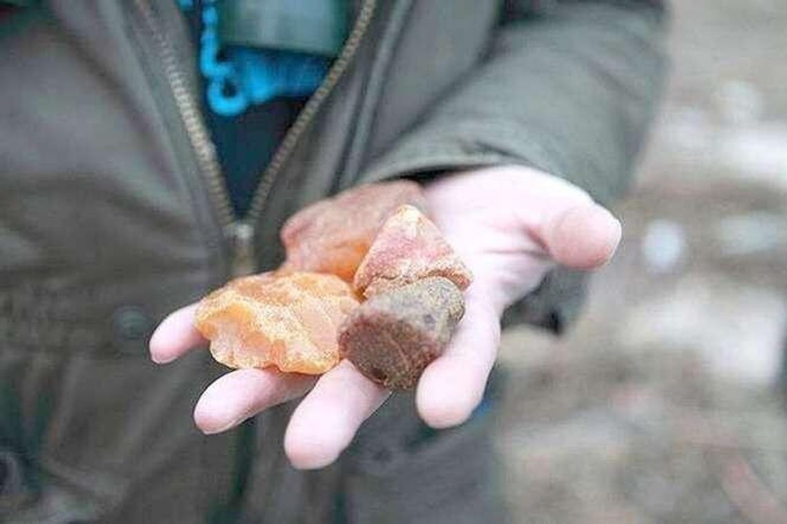 Pod Lubartowem miało być lotnisko. Będzie kopalnia bursztynu?