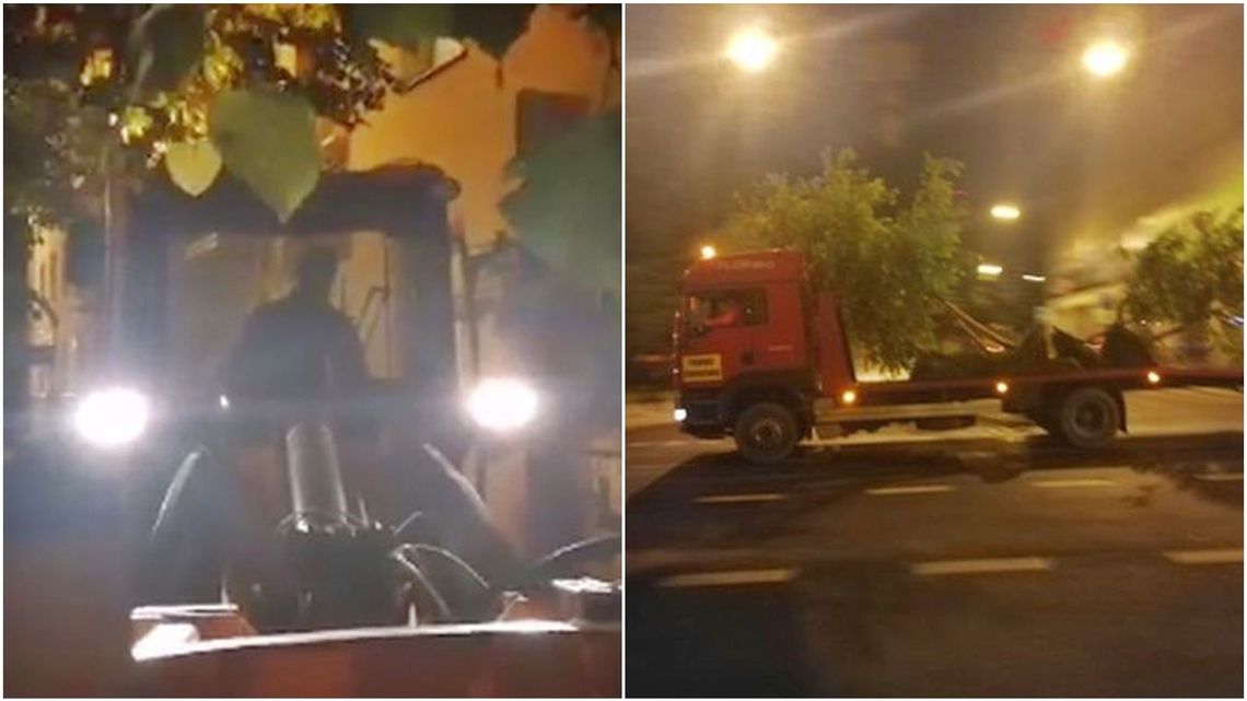 Pod osłoną nocy zaczęli przesadzać drzewa z ul. Lipowej w Lublinie. Mieszkańcy stanęli naprzeciwko maszyn