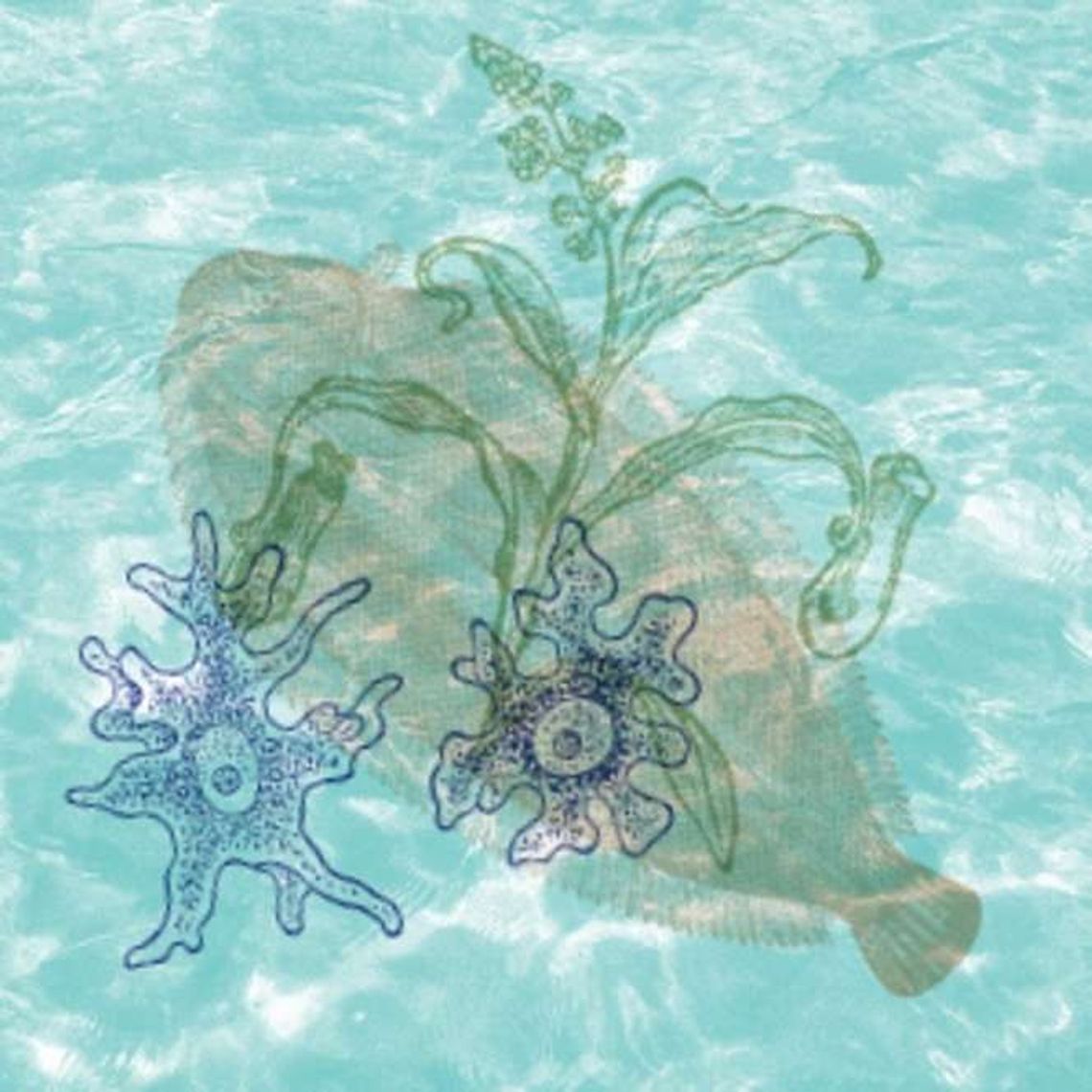 "Pod taflą wody": Warsztaty dla rodzin w DDK Czuby Południowe