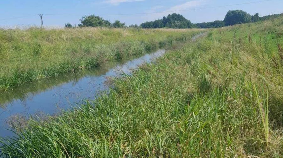 Podczas spaceru znalazł ciało w wodzie. Ofiara to 84-latka