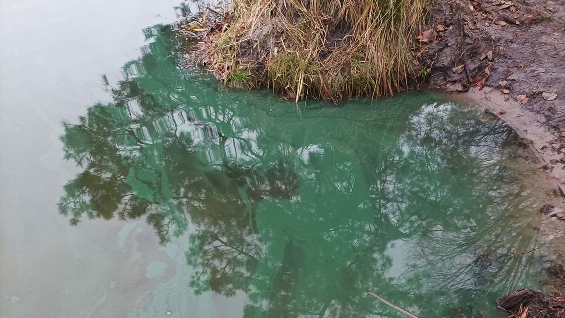 Podejrzane plamy cieczy na Jeziorze Czarnym Podejrzane plamy cieczy na Jeziorze Czarnym