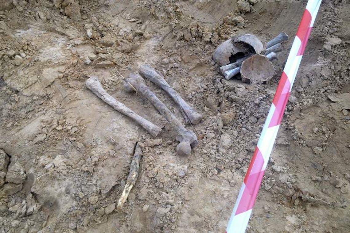 Podlaskie: Ludzkie kości na budowie ulicy