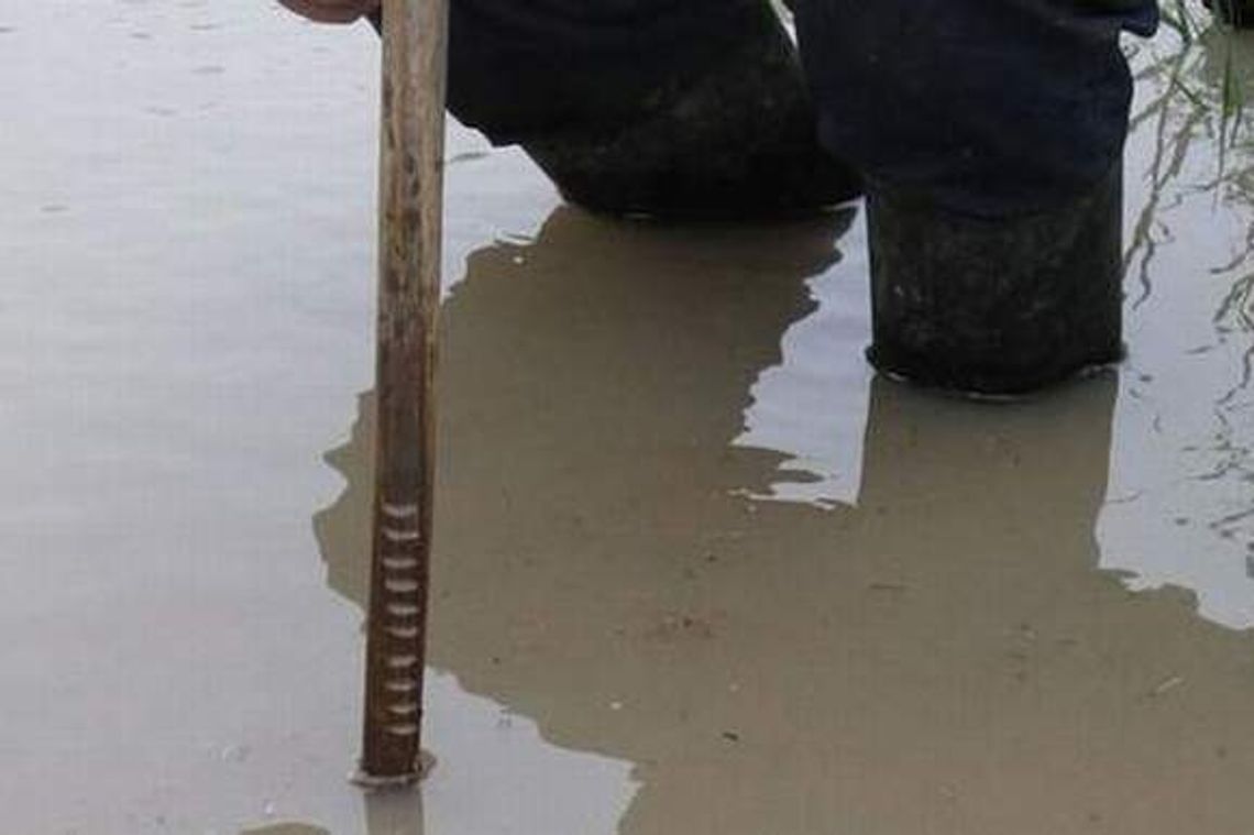 Podnosi się poziom wody w rzekach woj. lubelskiego