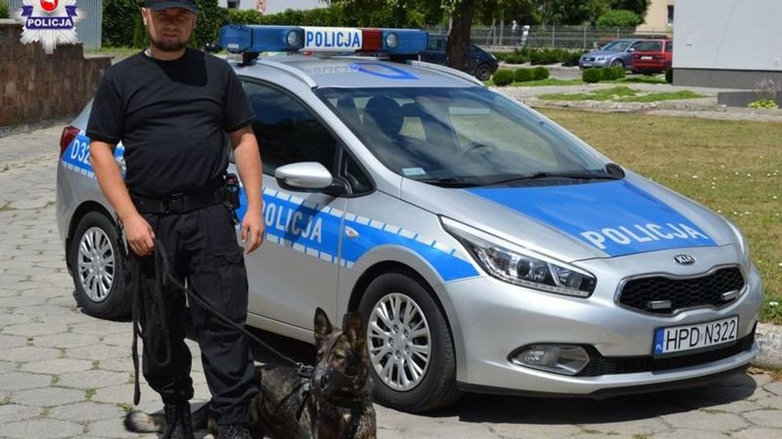 Podpalacz był już w domu. Pies doprowadził policjantów pod same drzwi Podpalacz był już w domu. Pies doprowadził policjantów pod same drzwi