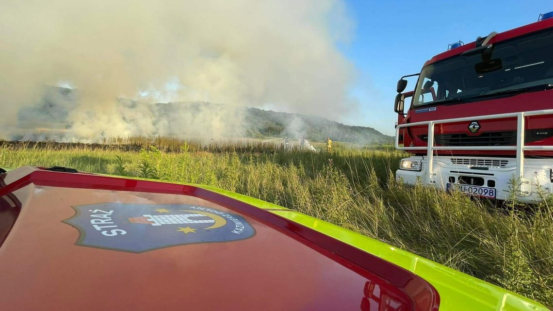 Podpalacz grasuje koło Kazimierza Dolnego