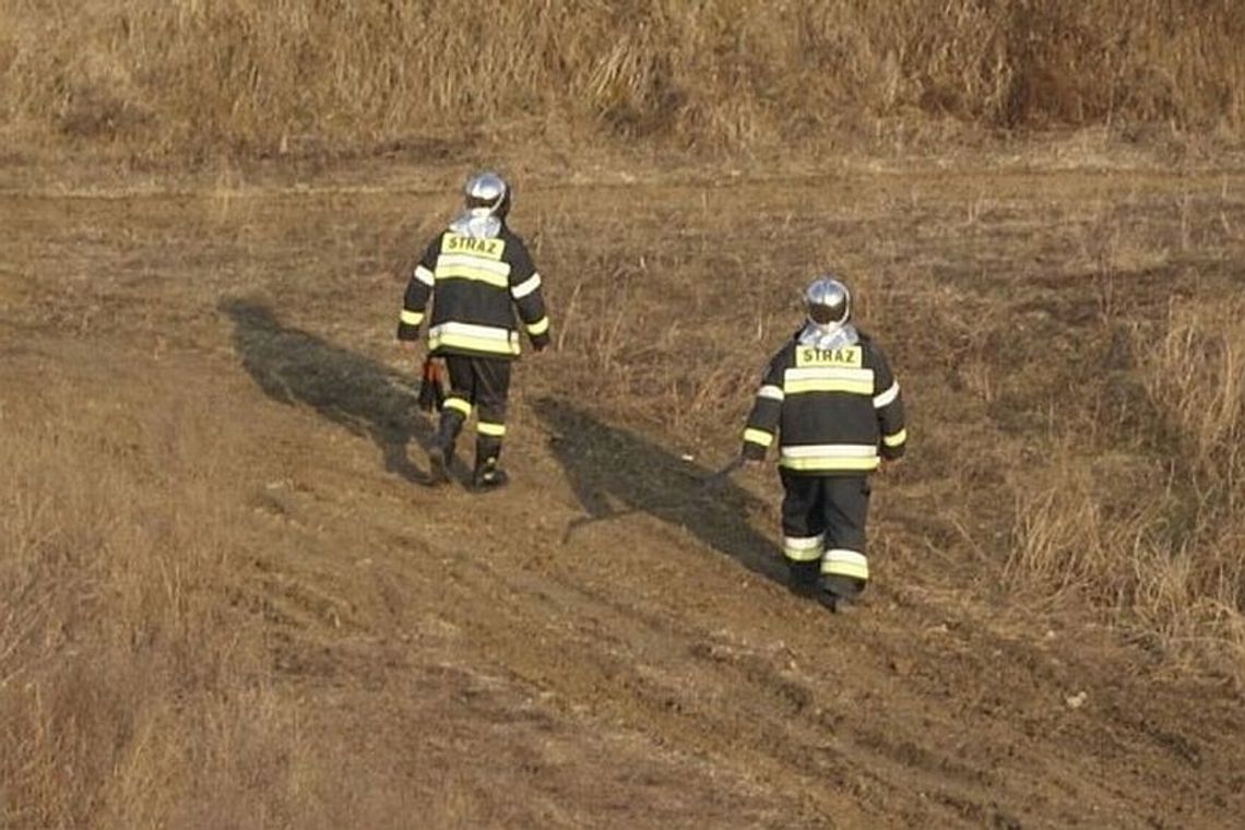 Podpalenia traw w Lublinie: \"Sprawcy nawet nie uciekają\" Podpalenia traw w Lublinie: \"Sprawcy nawet nie uciekają\"