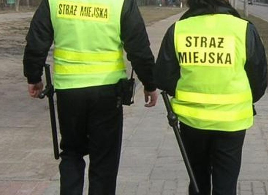 Podpalenie w sylwestra. To nie był krzyż, tylko doniczka